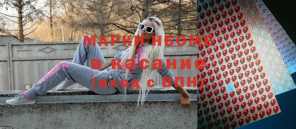 мдпв Каменка