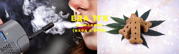 мдпв Каменка