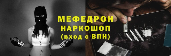 мдпв Каменка