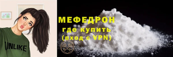мдпв Каменка