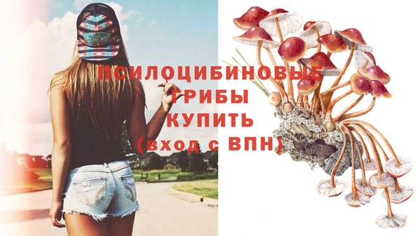 первитин Каменногорск