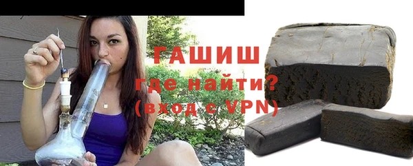 мдпв Каменка