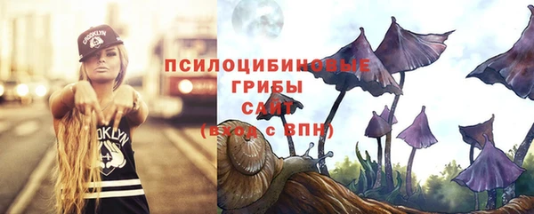 первитин Каменногорск