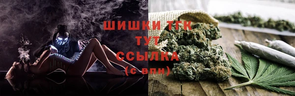 мдпв Каменка